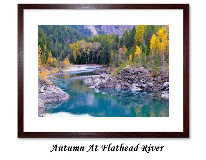 Flathead River Autumn Fall Rocks Scenic Trees